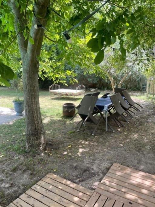 Mas De Barthe Avignon, Ile De La Barthelasse Vakantiehuis
